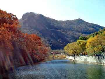 六堡茶生茶祛湿