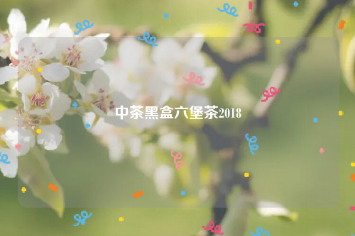 中茶黑盒六堡茶2018