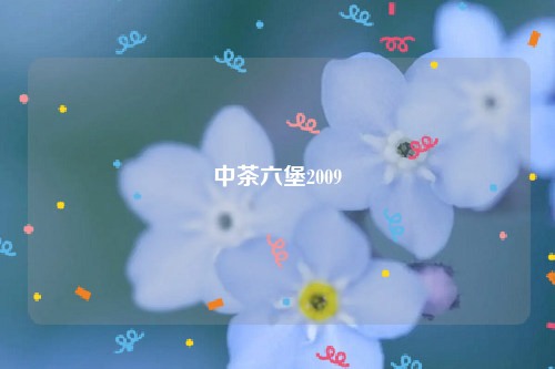 中茶六堡2009