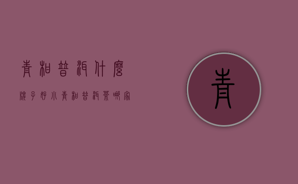 青柑普洱什么牌子好(小青柑普洱茶哪家最好)