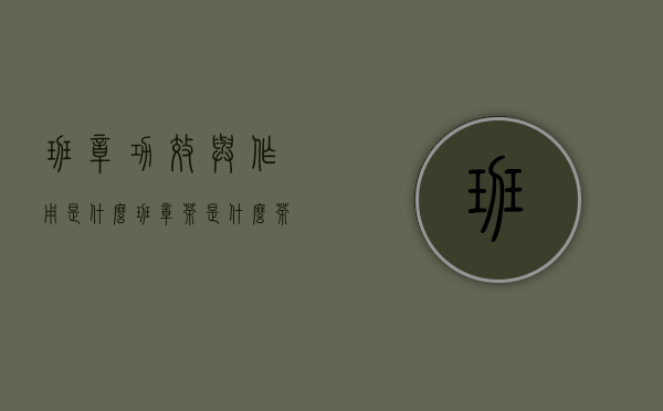 班章功效与作用是什么(班章茶是什么茶)