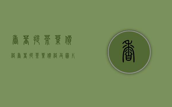 香菩提茶叶价格(香菩提茶叶价格及图片)