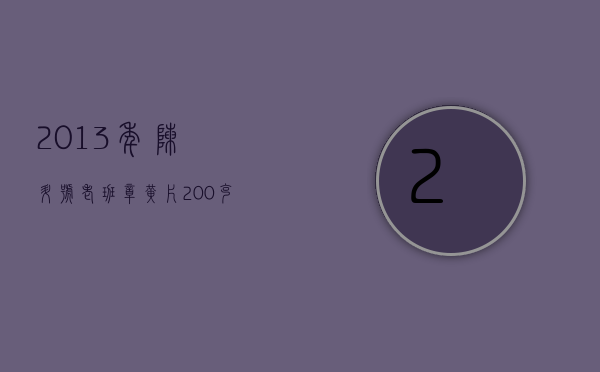 2013年陈升号老班章黄片200克／砖，10砖