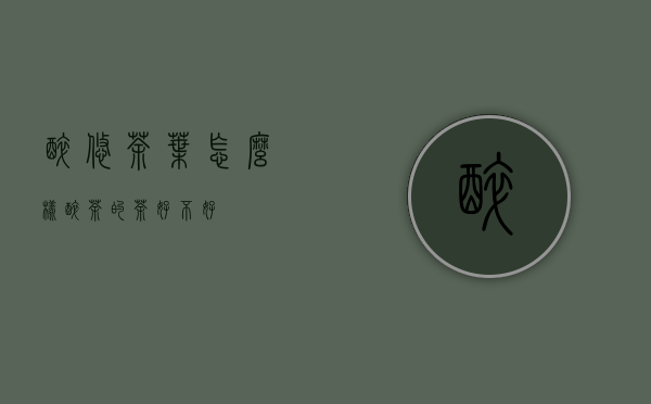 醉悠茶叶怎么样(醉茶的茶好不好)