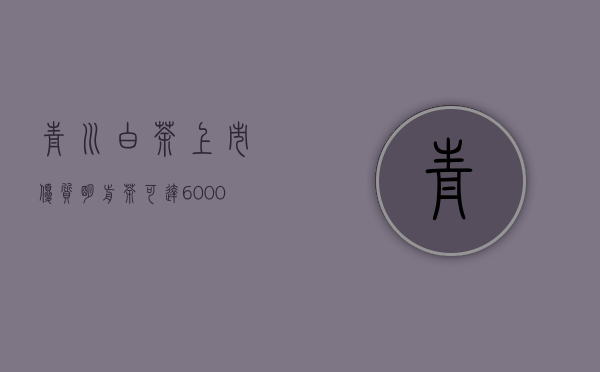 “青川白茶”上市  优质明前茶可达6000元／公斤