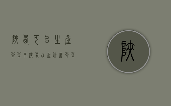 陕西可以生产茶叶不(陕西出产什么茶叶)