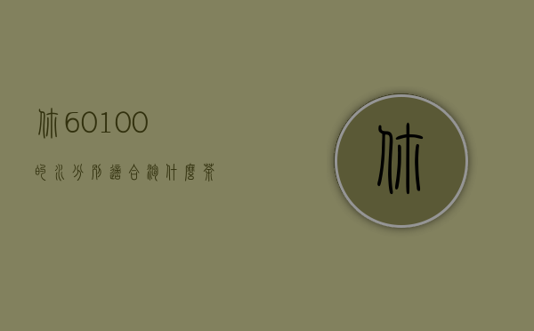 你60~100℃的水，分别适合泡什么茶