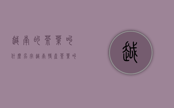 越南的茶叶叫什么名字(越南特产茶叶叫什么)