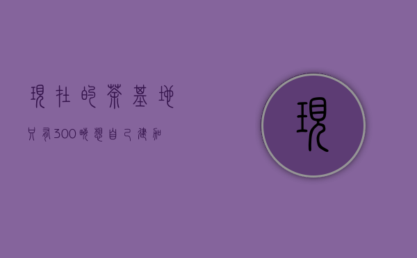 现在的茶基地只有300亩，想自己建加工厂，是有机绿茶，不知道需要什么具体设备，要投多少？先谢谢了！