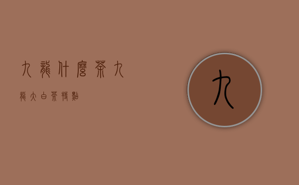 九龙什么茶（九龙大白茶特点）