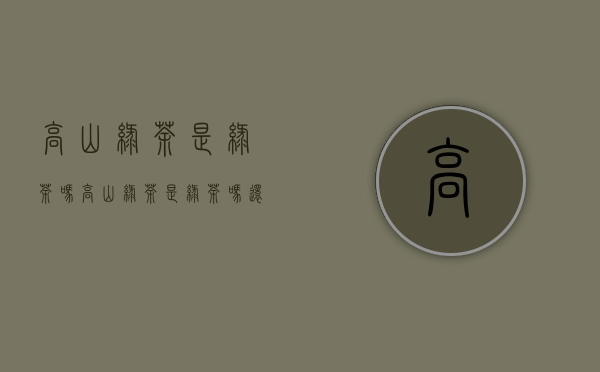 高山绿茶是绿茶吗(高山绿茶是绿茶吗还是红茶)