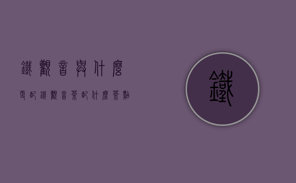 铁观音与什么更配(铁观音茶配什么茶点)