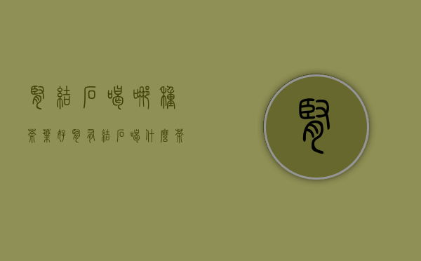 肾结石喝哪种茶叶好(肾有结石喝什么茶好)