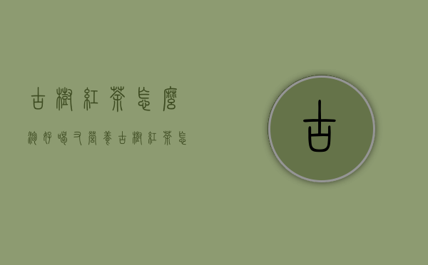 古树红茶怎么泡好喝又营养（古树红茶怎么泡）