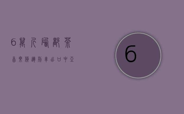 6万斤“硒都茶”首乘货运列车出口中亚