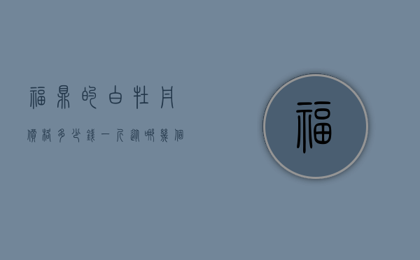 福鼎的白牡丹价格多少钱一斤？从哪几个方面挑选和鉴别？