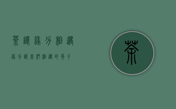 茶让缘分相遇（缘分让我们相遇的句子）