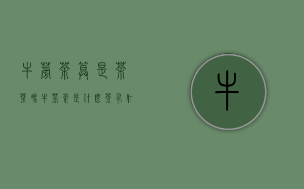 牛蒡茶算是茶叶吗(牛蒡茶是什么茶有什么功效)