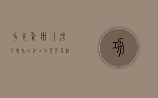 功夫茶用什么茶叶比较好（功夫茶茶叶种类）