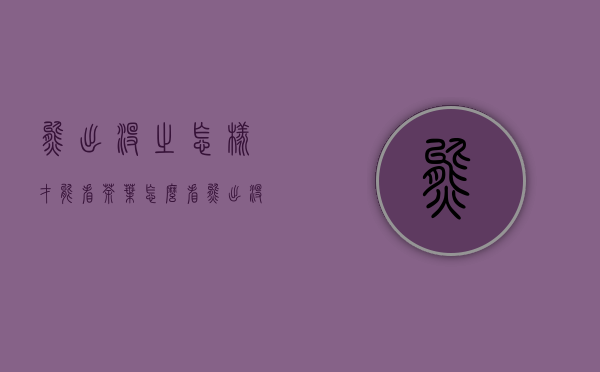 熊出没之怎样才能看茶叶(怎么看熊出没)