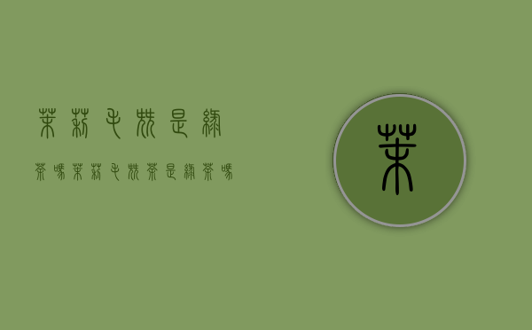 茉莉毛尖是绿茶吗（茉莉毛尖茶是绿茶吗）