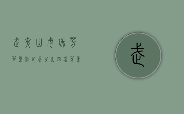 武夷山市瑞芳茶叶法人(武夷山市瑞芳茶叶法人代表是谁)