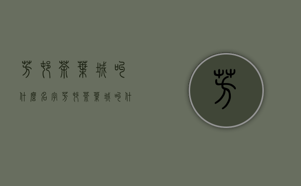 芳村茶叶城叫什么名字(芳村茶叶城叫什么名字来着)