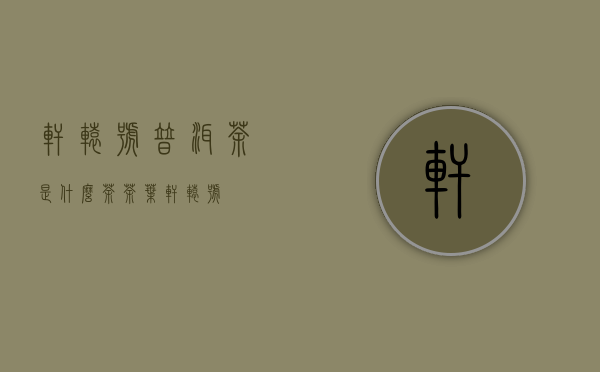 轩辕号普洱茶是什么茶(茶叶轩辕号)