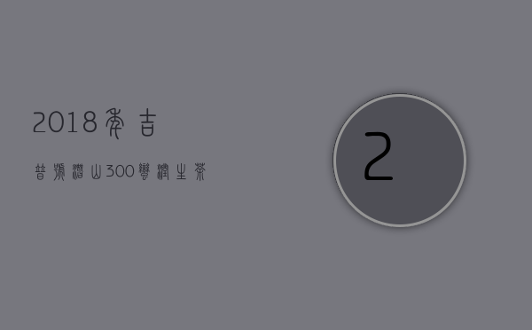 2018年吉普号潜山300蛮润生茶评测