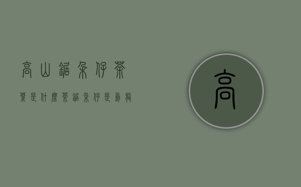 高山锯朵仔茶叶是什么茶(锯朵仔是乌龙茶吗)