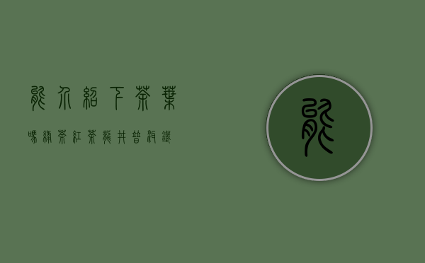 能介绍下茶叶吗？绿茶，红茶，龙井，普洱，铁