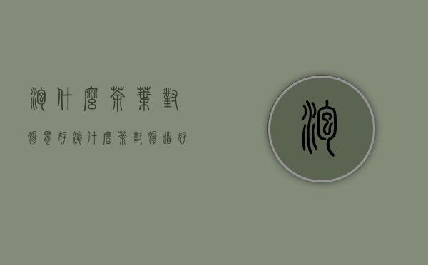 泡什么茶叶对肠胃好(泡什么茶对肠道好)