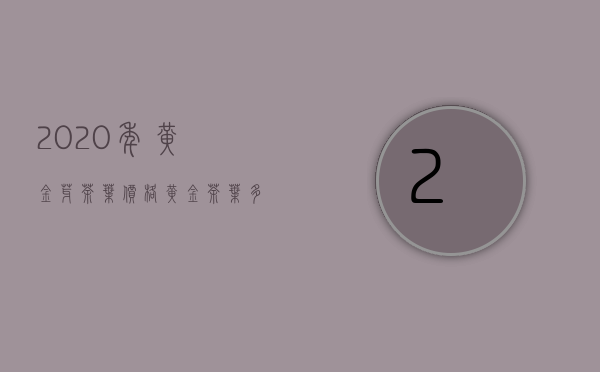 2020年黄金芽茶叶价格（黄金茶叶多少钱一斤 2020黄金芽茶叶价格最新报价详情）