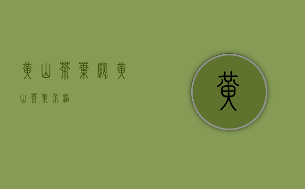 黄山茶叶网(黄山茶叶介绍)