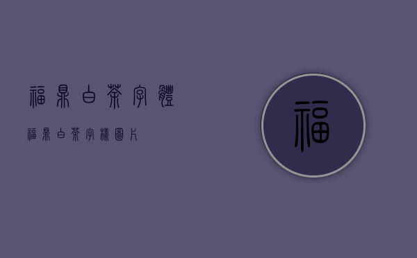 福鼎白茶字体(福鼎白茶字样图片)