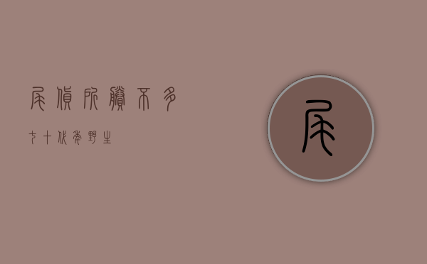 尾货所剩不多，七？十？代年？野生？