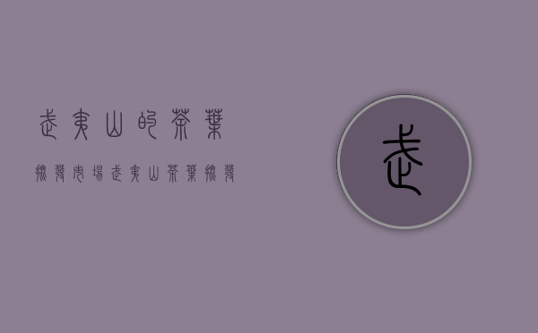 武夷山的茶叶批发市场(武夷山茶叶批发市场离一向岩茶厂多少路程)