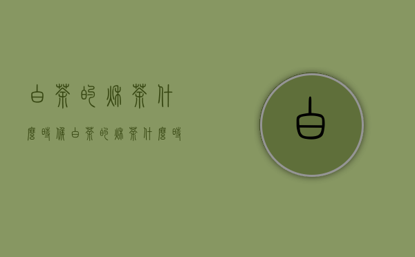 白茶的秋茶什么时候(白茶的秋茶什么时候喝好)