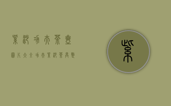 紫砂功夫茶壶图片大全(功夫紫砂茶具整套)