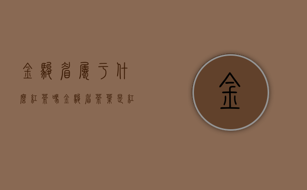 金骏眉属于什么红茶吗（金骏眉茶叶是红茶吗）