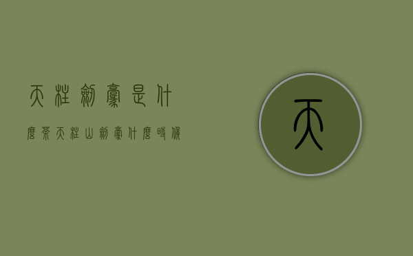 天柱剑毫是什么茶（天柱山剑毫什么时候上市）