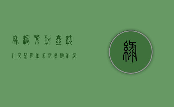 绿泥紫砂壶泡什么茶(绿泥紫砂壶泡什么茶喝)