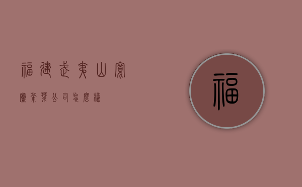 福建武夷山宽庐茶叶公司怎么样？