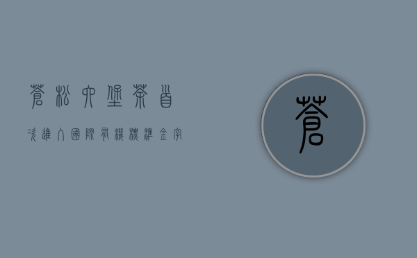 苍松六堡茶首次进入国际有机标准金字塔尖——德国市场签约仪式在苍梧县举办