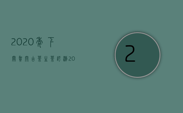 2020年下关贺开古茶生茶评测（2020下关贺开古茶开汤）