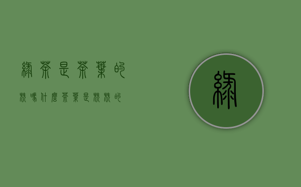 绿茶是茶叶的尖吗(什么茶叶是尖尖的)