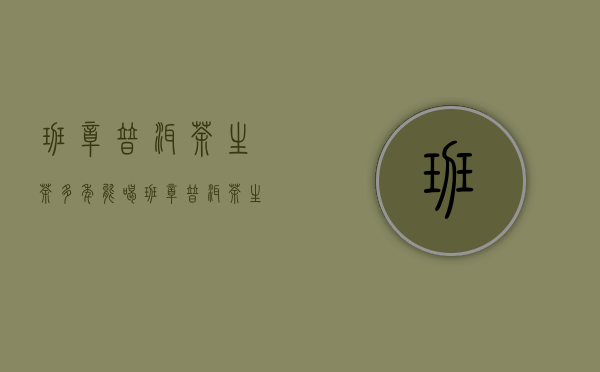 班章普洱茶生茶多年能喝(班章普洱茶生茶2014怎么样)