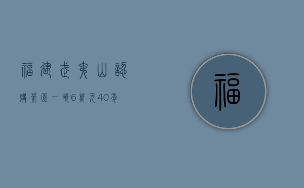 福建武夷山认购茶园一亩6万元，40年期，一年包